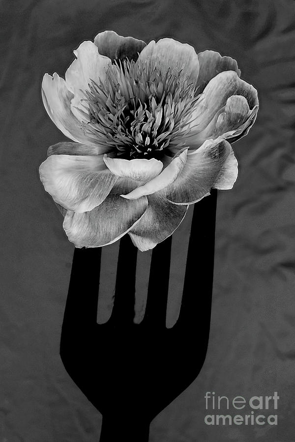 Flower For Foodie #1 In Black And White. Photograph