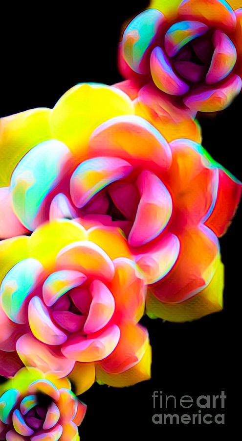 Flower Frenzy Digital Art by Gayle Price Thomas