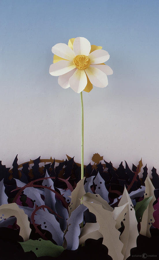 Flower From Thorn Patch Sculpture by Tim Nyberg