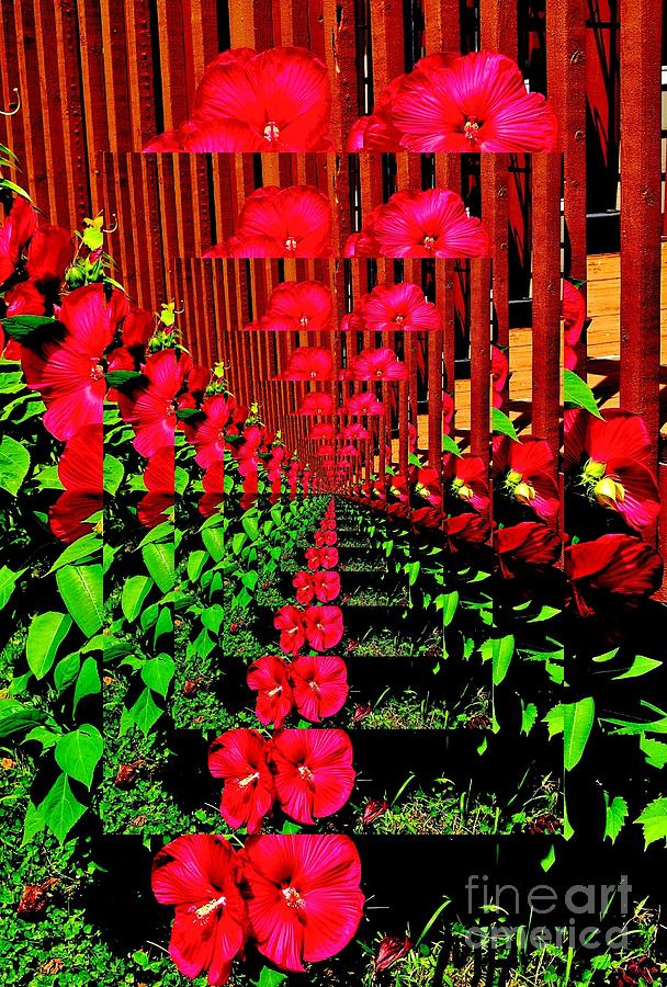 Abstract Digital Art - Flower Garden Abstract by Marsha Heiken