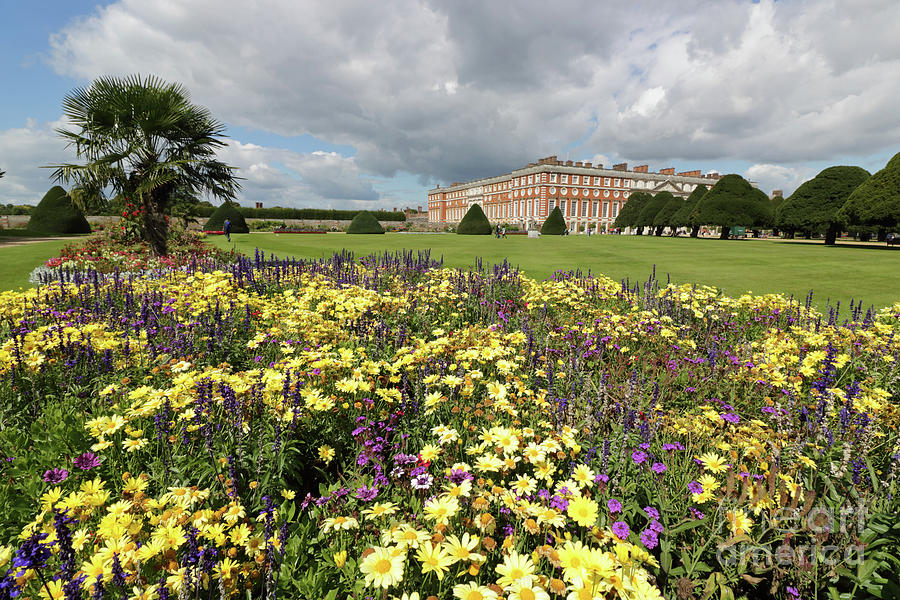 Flower Garden at Hampton Court Palace Photograph by Julia Gavin