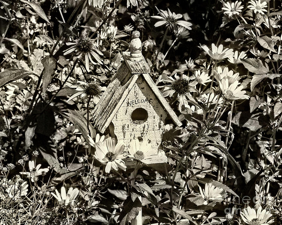 Flower Garden Bird House Photograph by Smilin Eyes Treasures