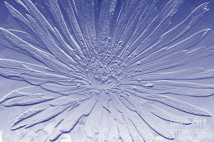 Abstract Photograph - Flower In Blue by Tabitha Fox Abstract Photograph - Flower In Blue by Tabitha Fox