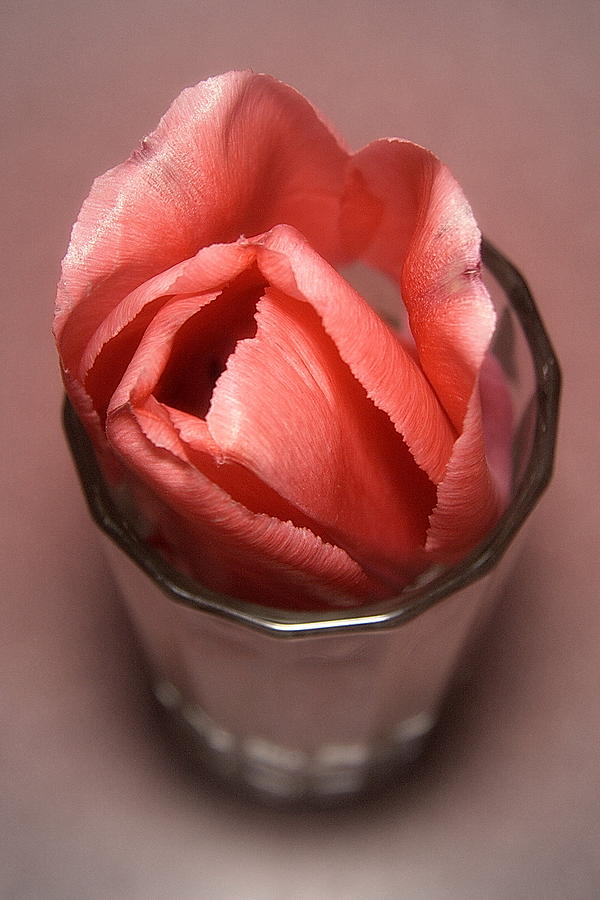 Flower in juice glass Photograph by David Coblitz