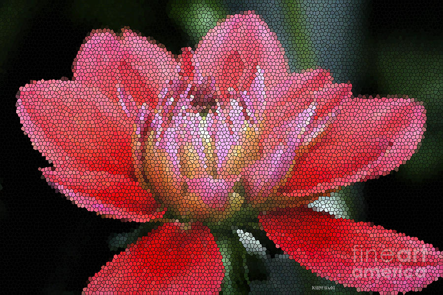 Nature Photograph - Flower In Stain Glass by Deborah Benoit