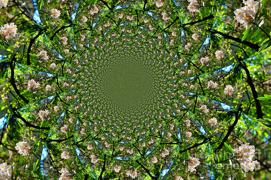 Flower Kaleidoscope Abstract Photograph by Stacie Siemsen