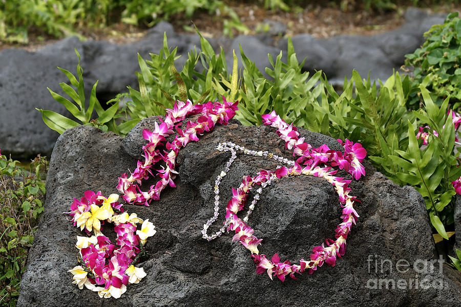 Flower Lei on Lava Rock Photograph by Catherine Sherman