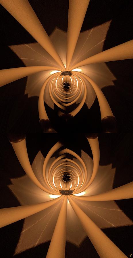 Flower Light Digital Art by Ronald Bissett