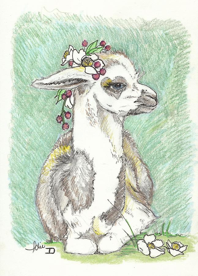 Animal Portrait Drawing - Flower Llama by Idie Karr Animal Portrait Drawing - Flower Llama by Idie Karr