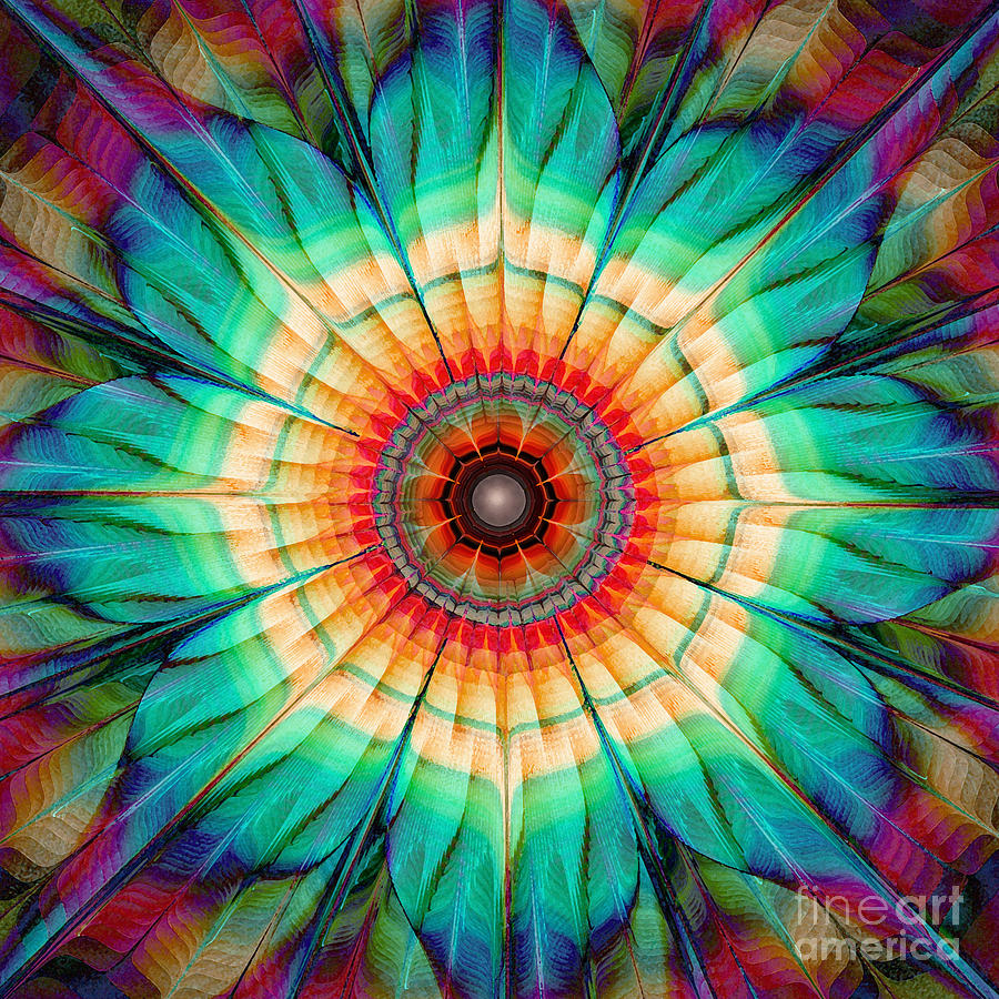 Flower Mandala Digital Art by Klara Acel