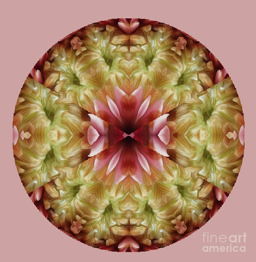 Flower Mandala Digital Art by Carol Eliassen