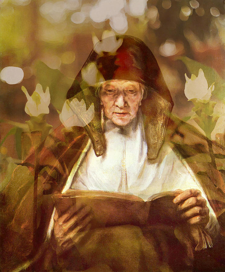 Flower Master Works Series Rembrandt Old Woman Photograph by Suzanne Powers