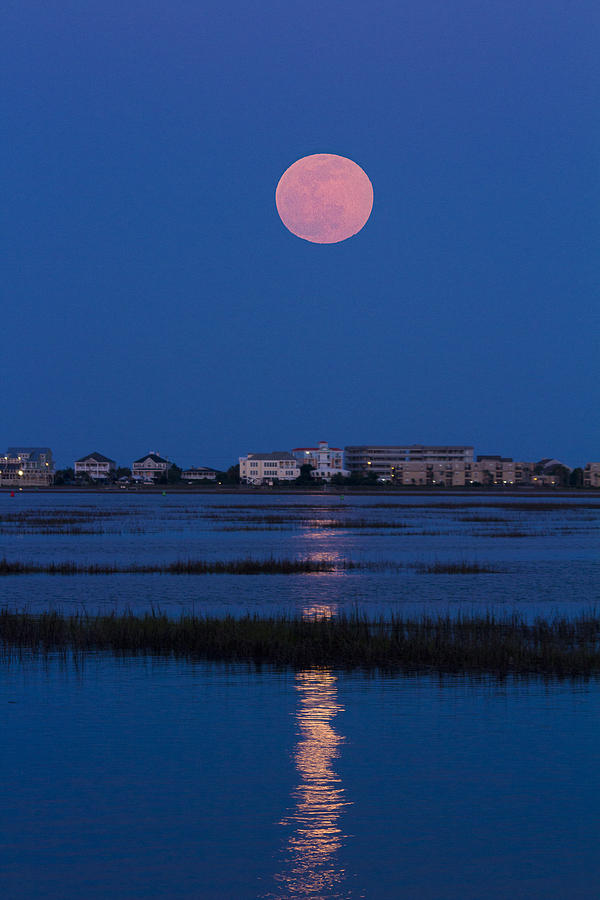 Flower Moon Rising Over Murrells Inlet Photograph by Bill Barber