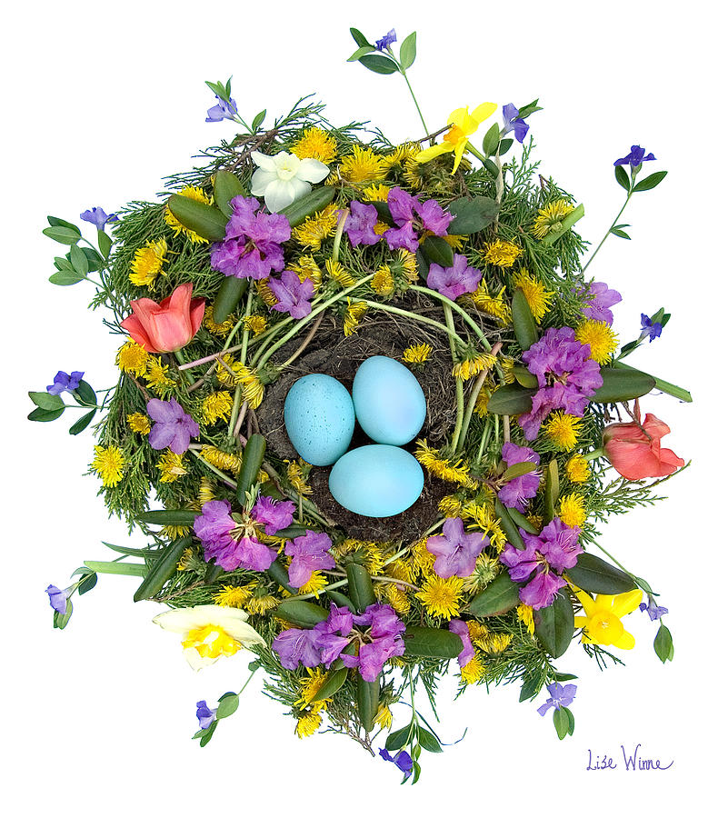 Flower Nest Digital Art by Lise Winne