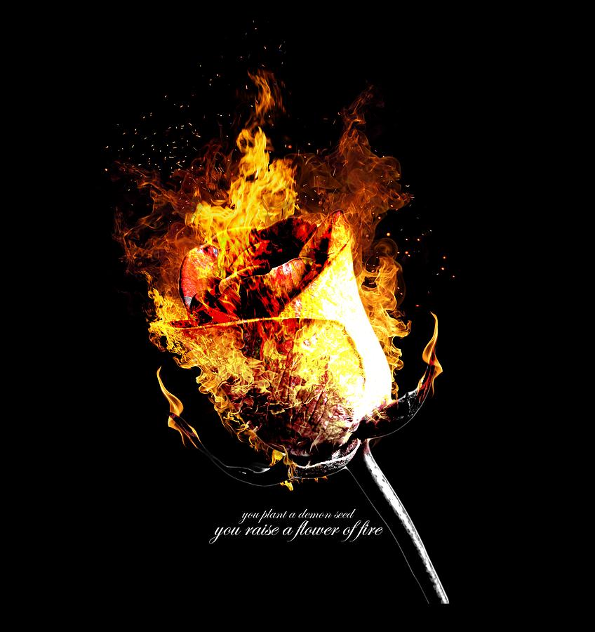 U2 Digital Art - Flower Of Fire by Regis Berchet