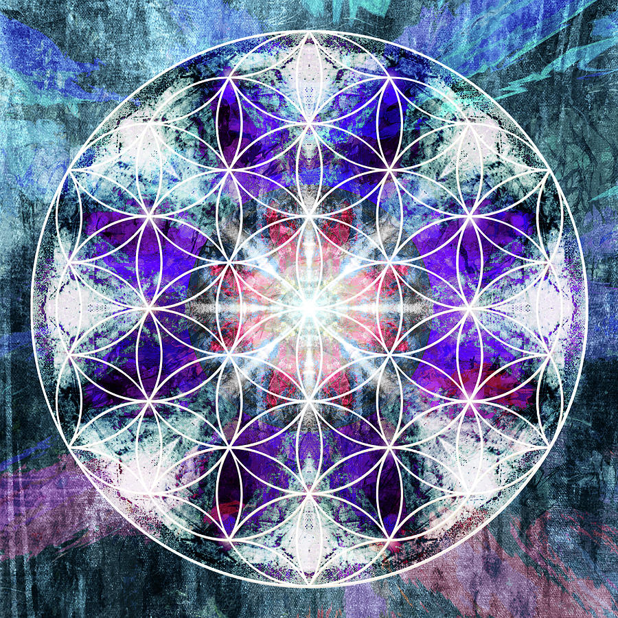 Flower Of Life 1016 Digital Art by Filippo B | Fine Art America