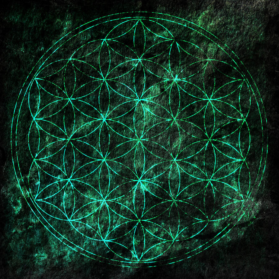 Flower Of Life 1 Digital Art by Edouard Coleman