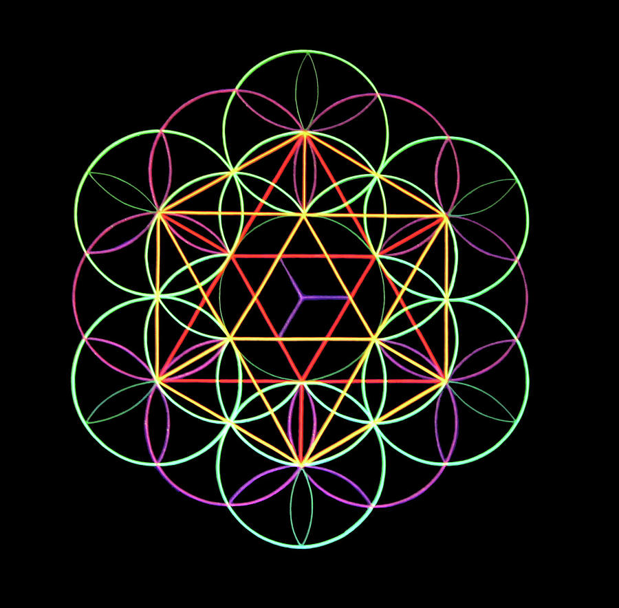 Flower Of Life Painting by Heather Crowther