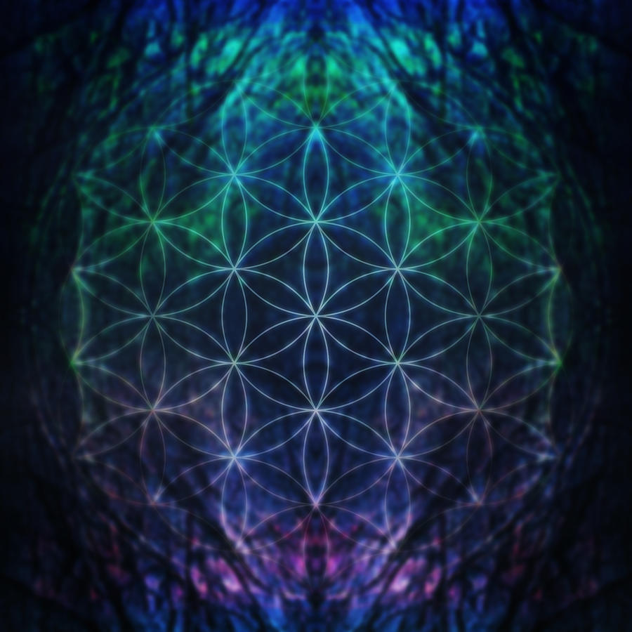 Flower Of Life Neon Digital Art by Edouard Coleman - Fine Art America