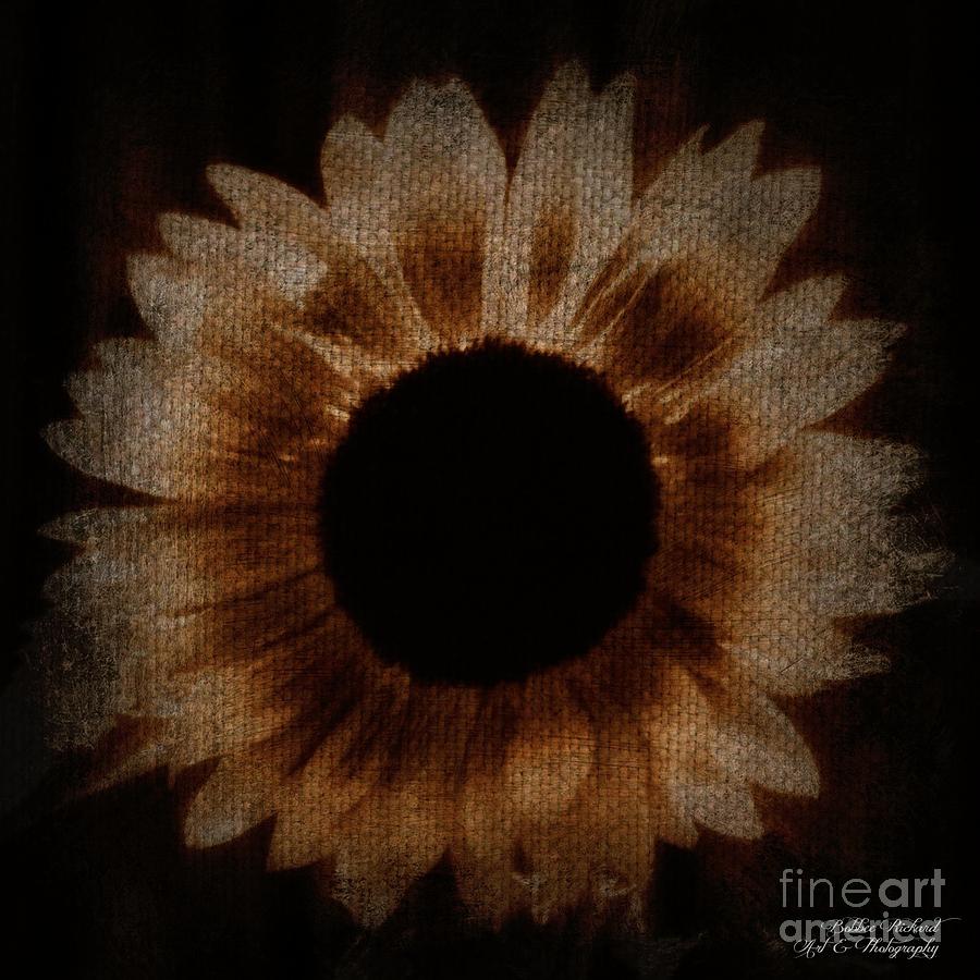 Sunflower Photograph - Flower Painting Digitally by Bobbee Rickard