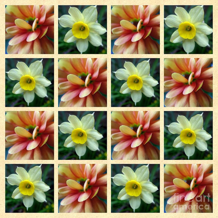 Flower Pattern Collage 3 Photograph by Joan-Violet Stretch