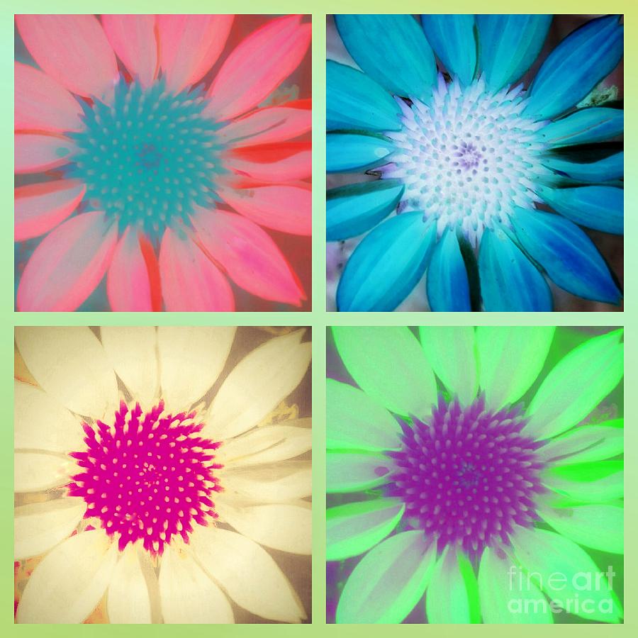 Flower Pop Collage Photograph by Rachel Hannah