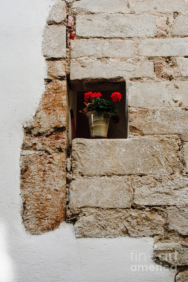 Flower Pot in Niche Photograph by Thomas Marchessault