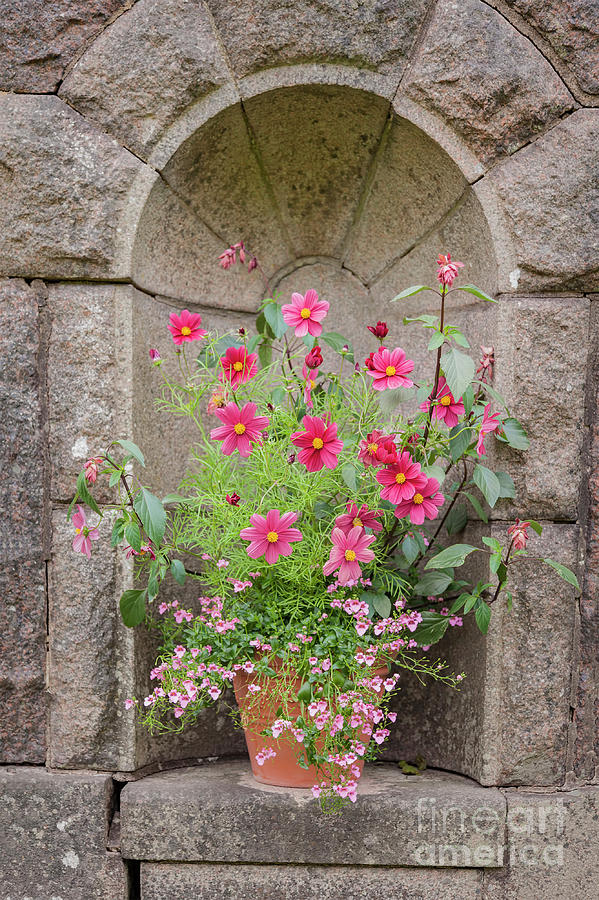 Flower pot in stone wall alcove Photograph by Sophie McAulay