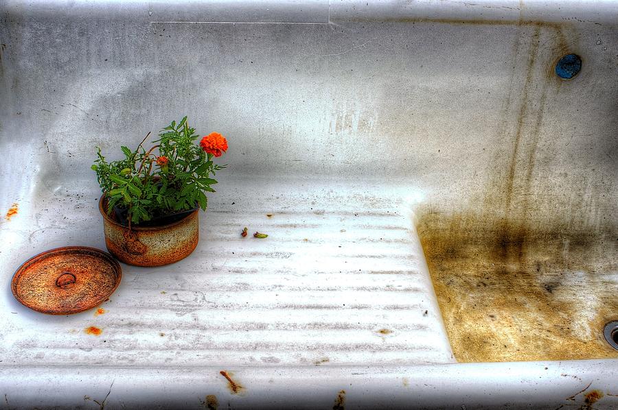 Flower Pot and Sink Photograph by Randy Pollard