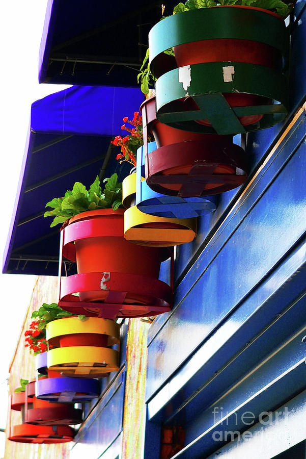 Easter Photograph - Flower pots by Angela Wright