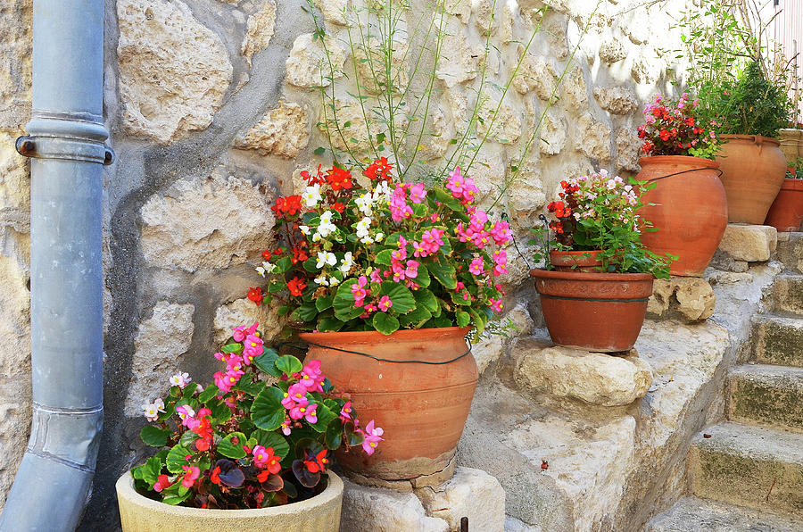 Flower Pots in Les Baux Photograph by Carla Parris