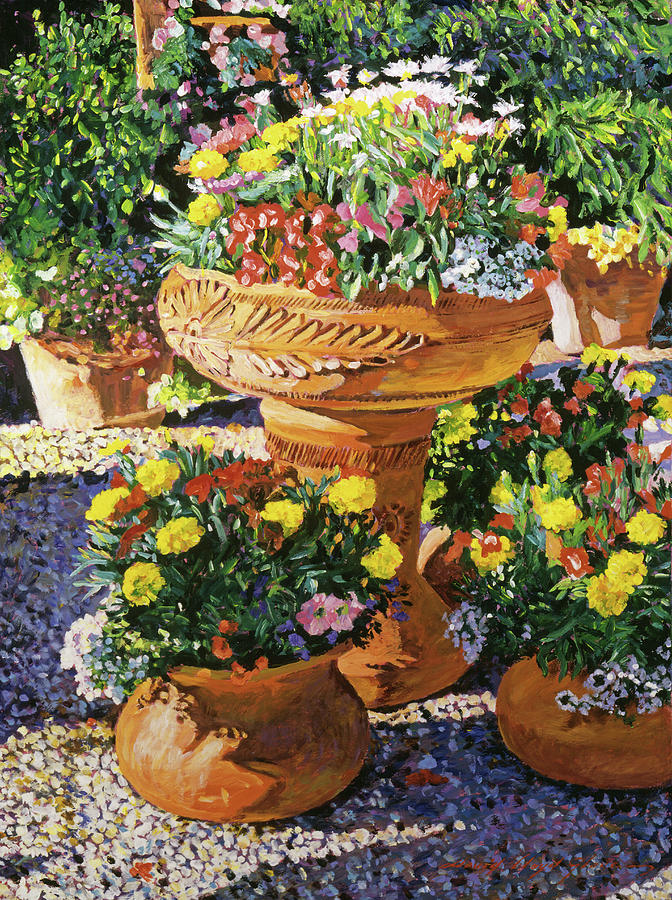 Flower Pots in Sunlight Painting by David Lloyd Glover