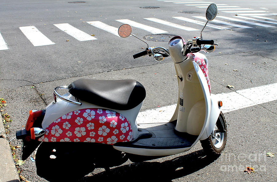 Flower Power for a Montreal Motor Scooter Photograph by Nina Silver