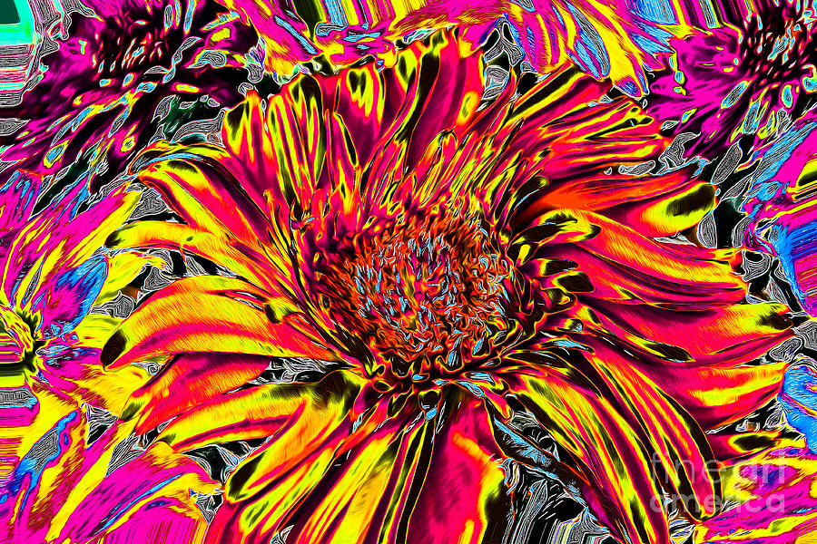 Abstract Photograph - Flower Power II by Nina Silver