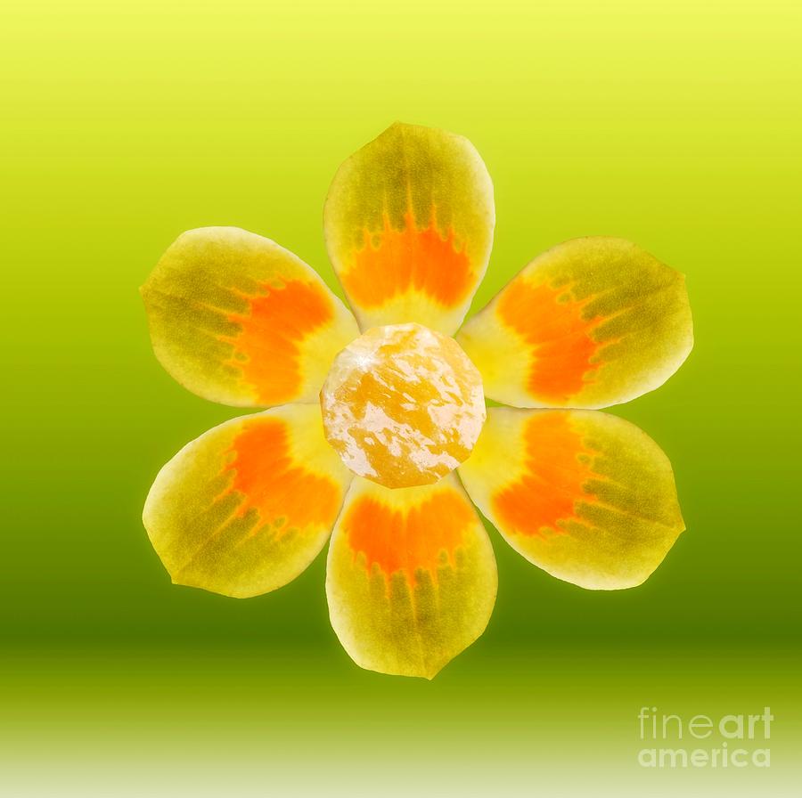 Flower Power Digital Art by Rachel Hannah