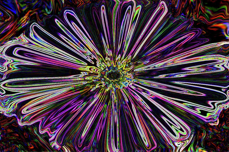 Flower Powered  Digital Art by Kenneth James