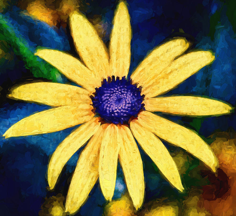 Flower - Rudbeckia - Yellow Petals And Blue Buttons Photograph