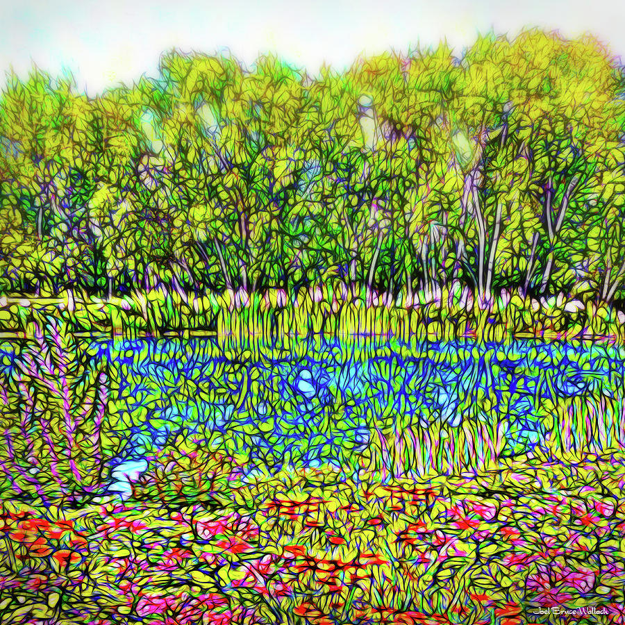 Flower Scented Pond - Colorado Lake With Trees And Flowers Digital Art by Joel Bruce Wallach