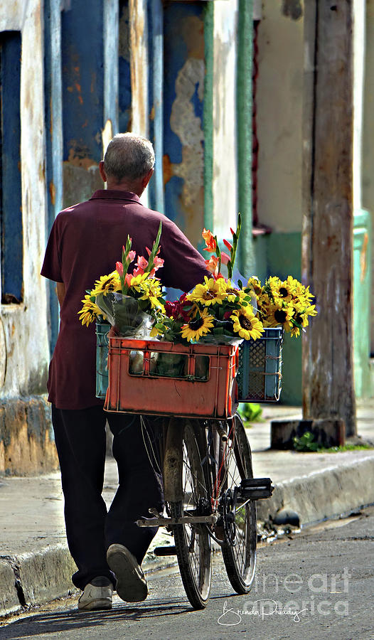 Flower Seller of Matanzas Cuba Photograph by Brenda Priddy