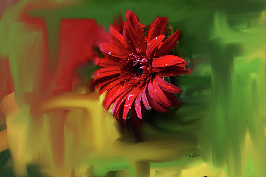 Flower series 12 Digital Art by Uma Krishnamoorthy