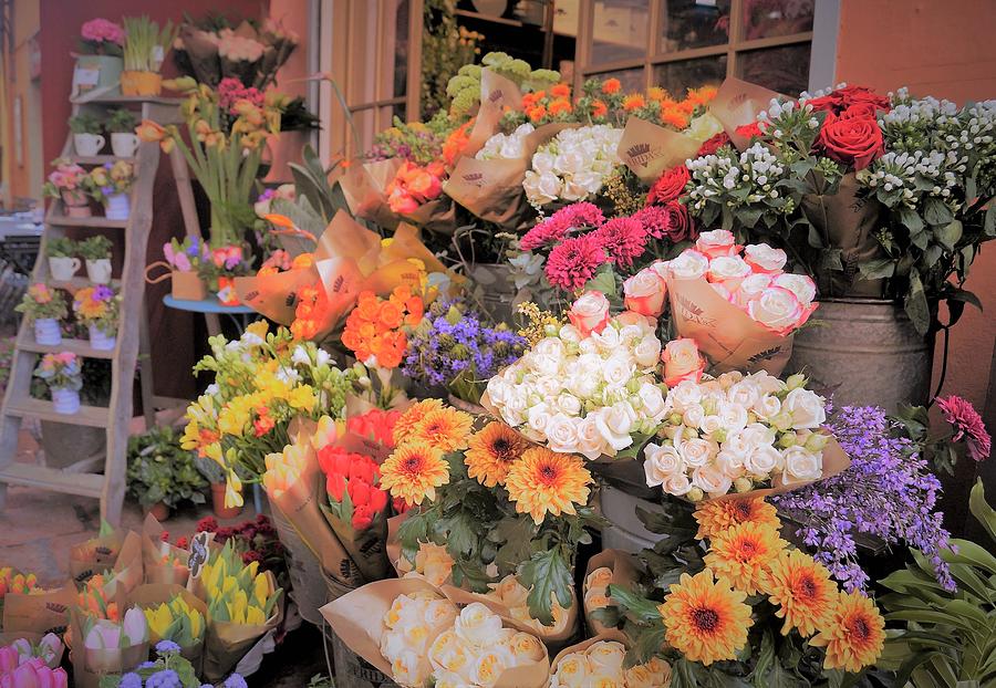 Flower Shop Photograph