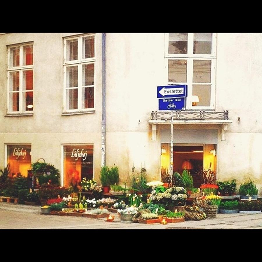 City Photograph - Flower Shop In by Mami Kadota