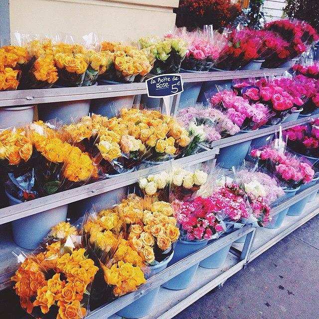 Flower Shops Are Definitely One Of My Photograph by Andrea Soler Ferrer