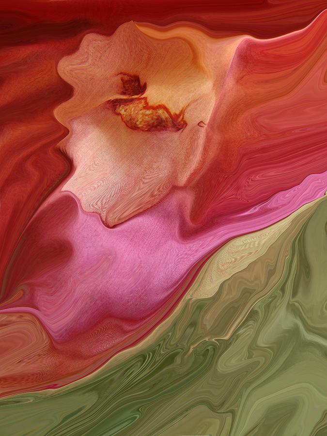 Peach Digital Art - Flower Soft by Florene Welebny