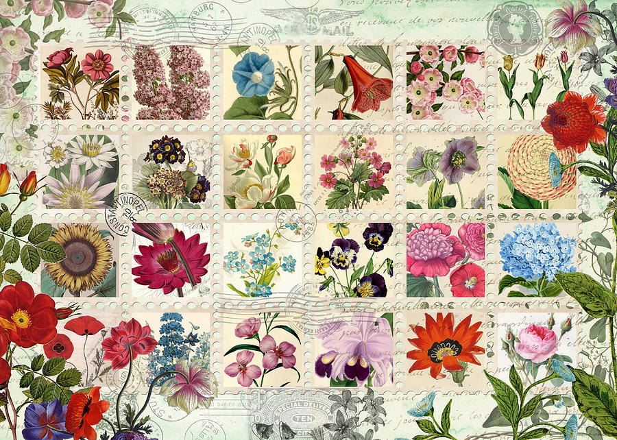 Flower Stamps Photograph by MGL Meiklejohn Graphics Licensing