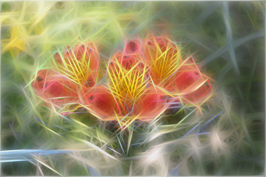 Flower Streaks Digital Art by Carol Crisafi