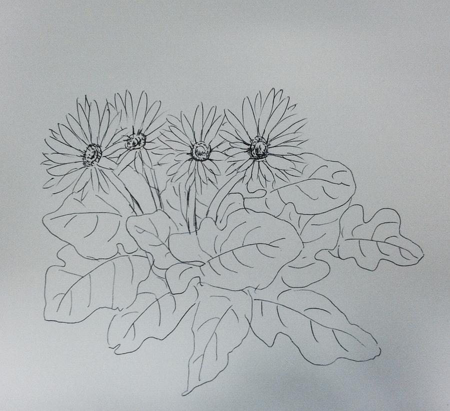Flower study 111216 Drawing by Hae Kim