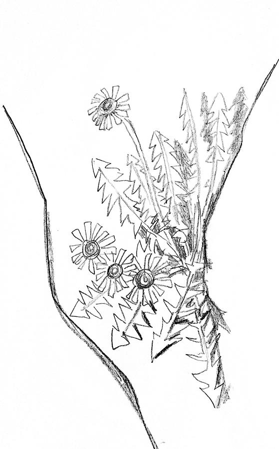 Flower study p Drawing by Hae Kim