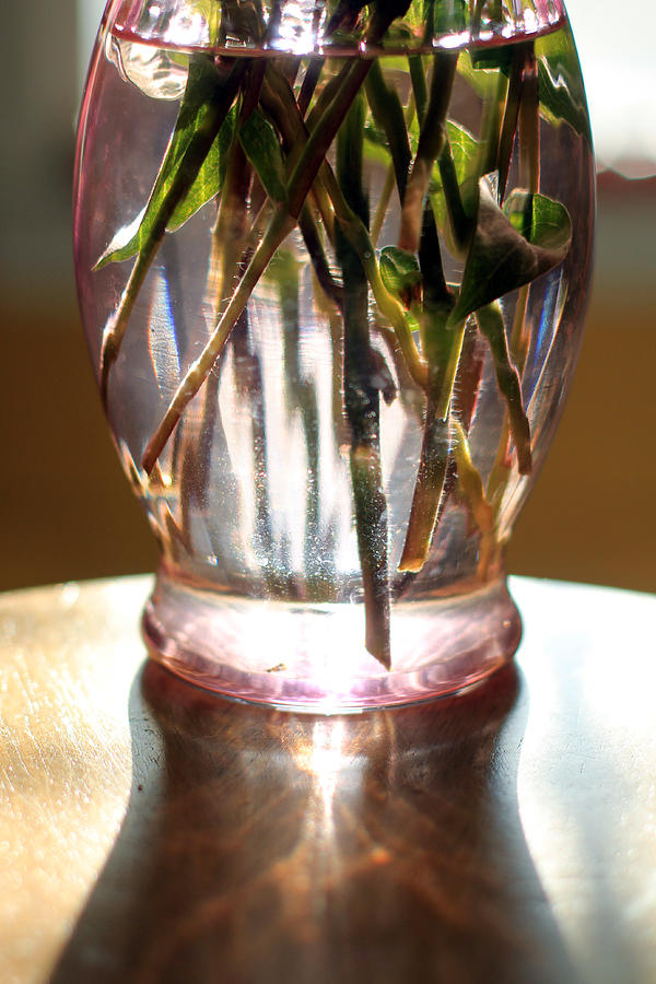 Flower Vase with Sunlight Photograph by John Meader
