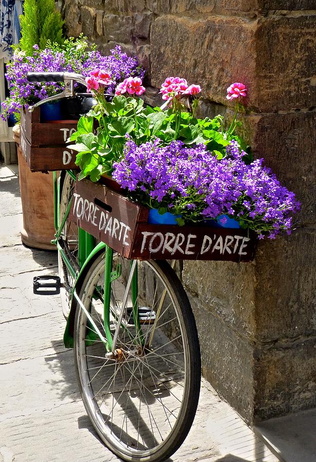 Flower Vendor  Florence Photograph by Amelia Racca